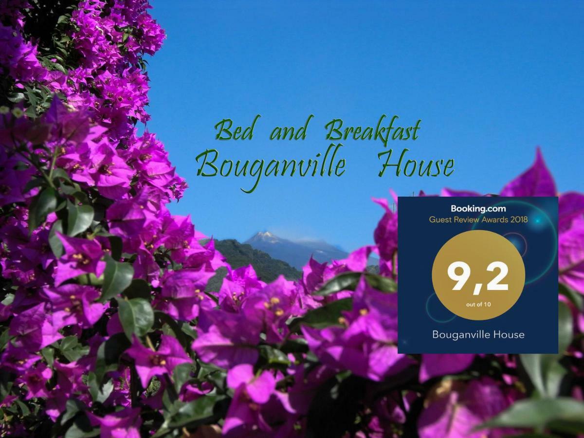 Bouganville House Zafferana Etnea Esterno foto